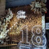 Restoran Park proslava 18. rodjendana